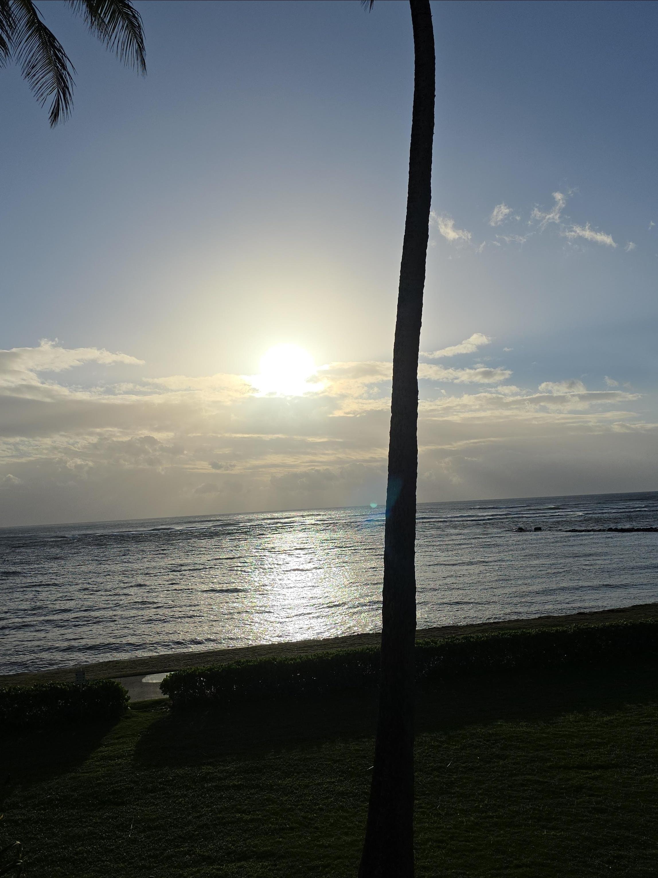 Our view from the unit.  There is a walkway in front of the unit that is about 7 miles.  It follows the oceanfront.  Bikes, walking significant,wonderful!