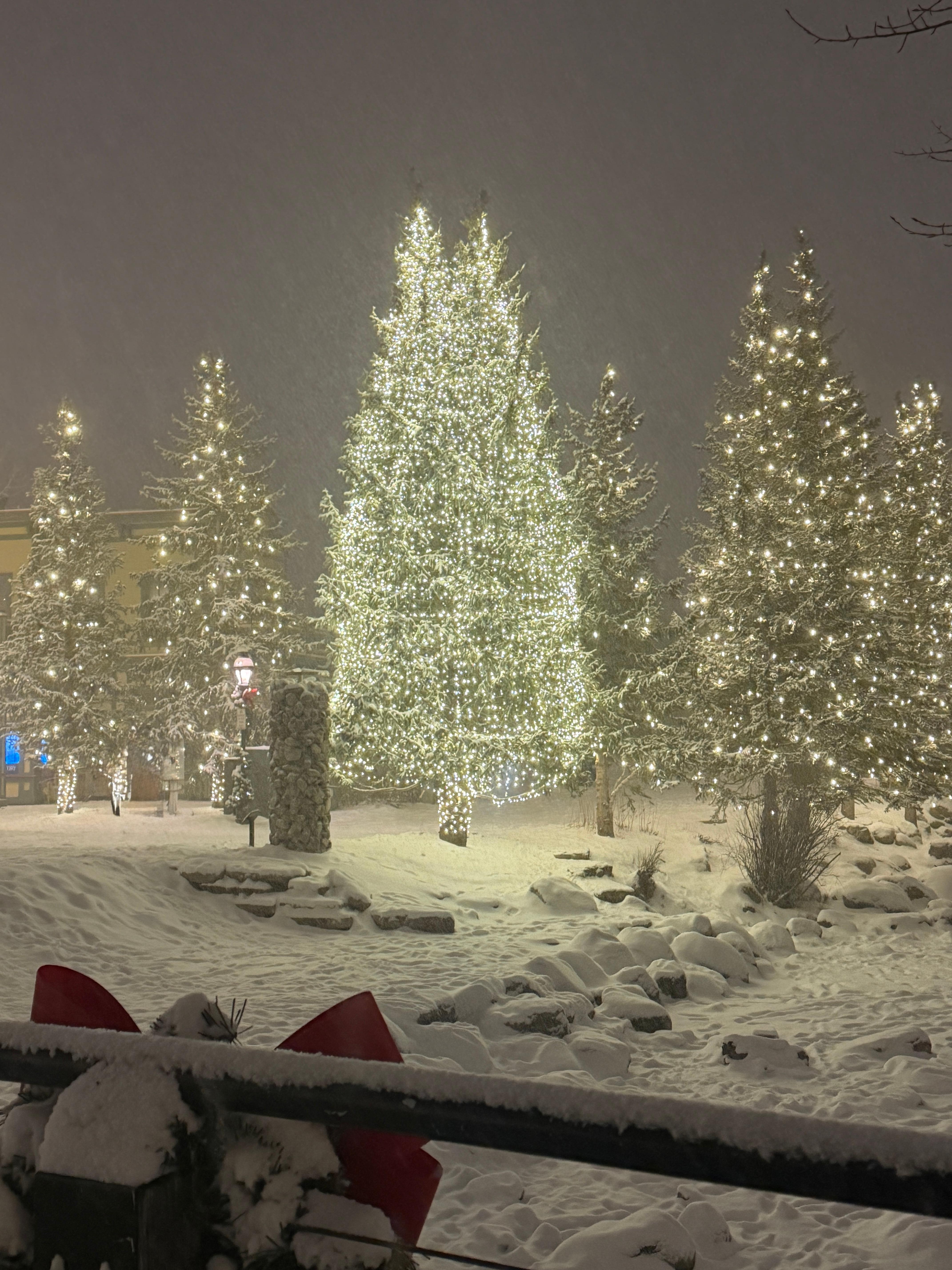 Beautiful Main Street