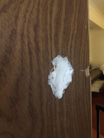 Wet polyfilla to block a hole