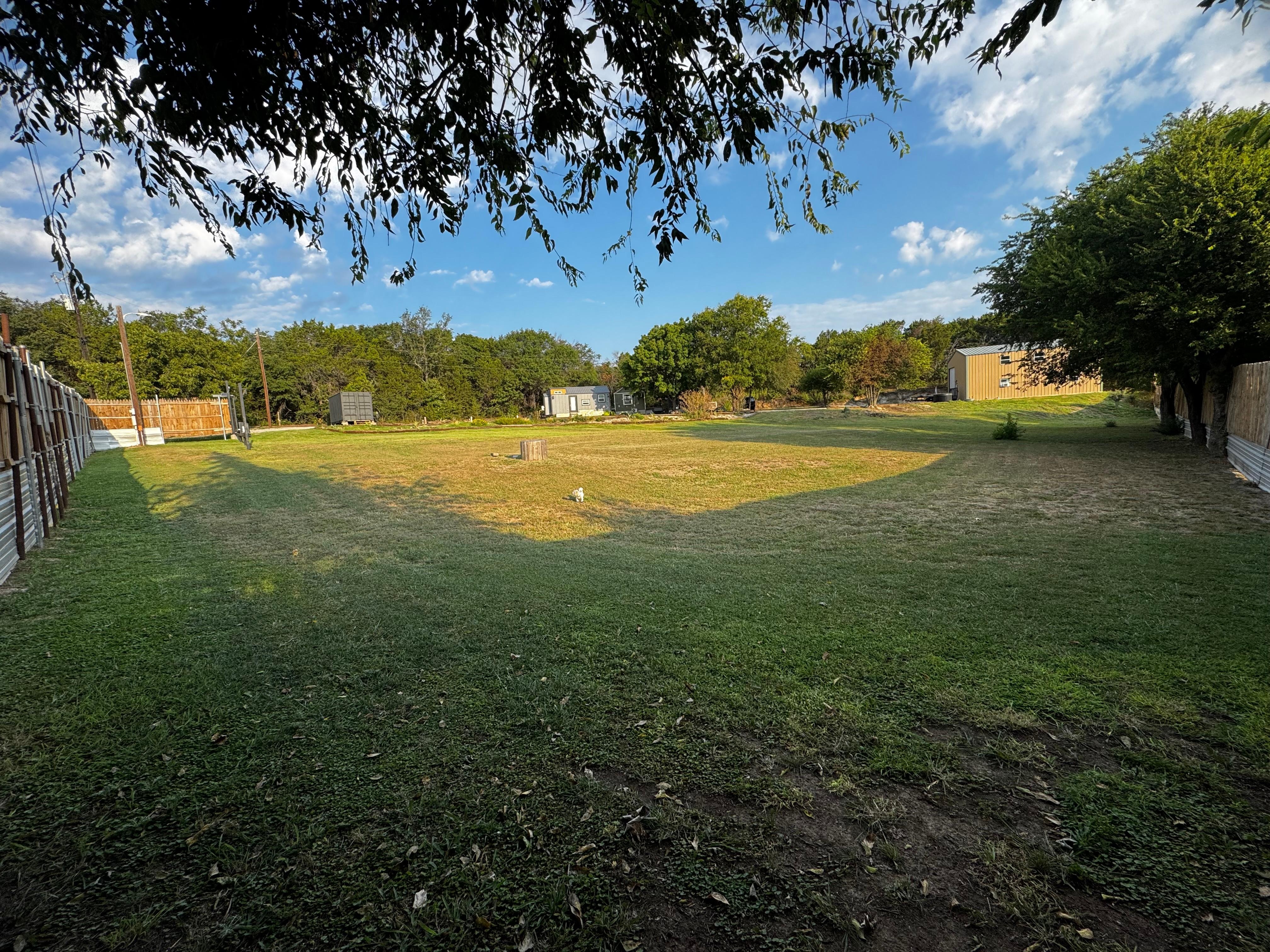 The yard - fun for the pup. 