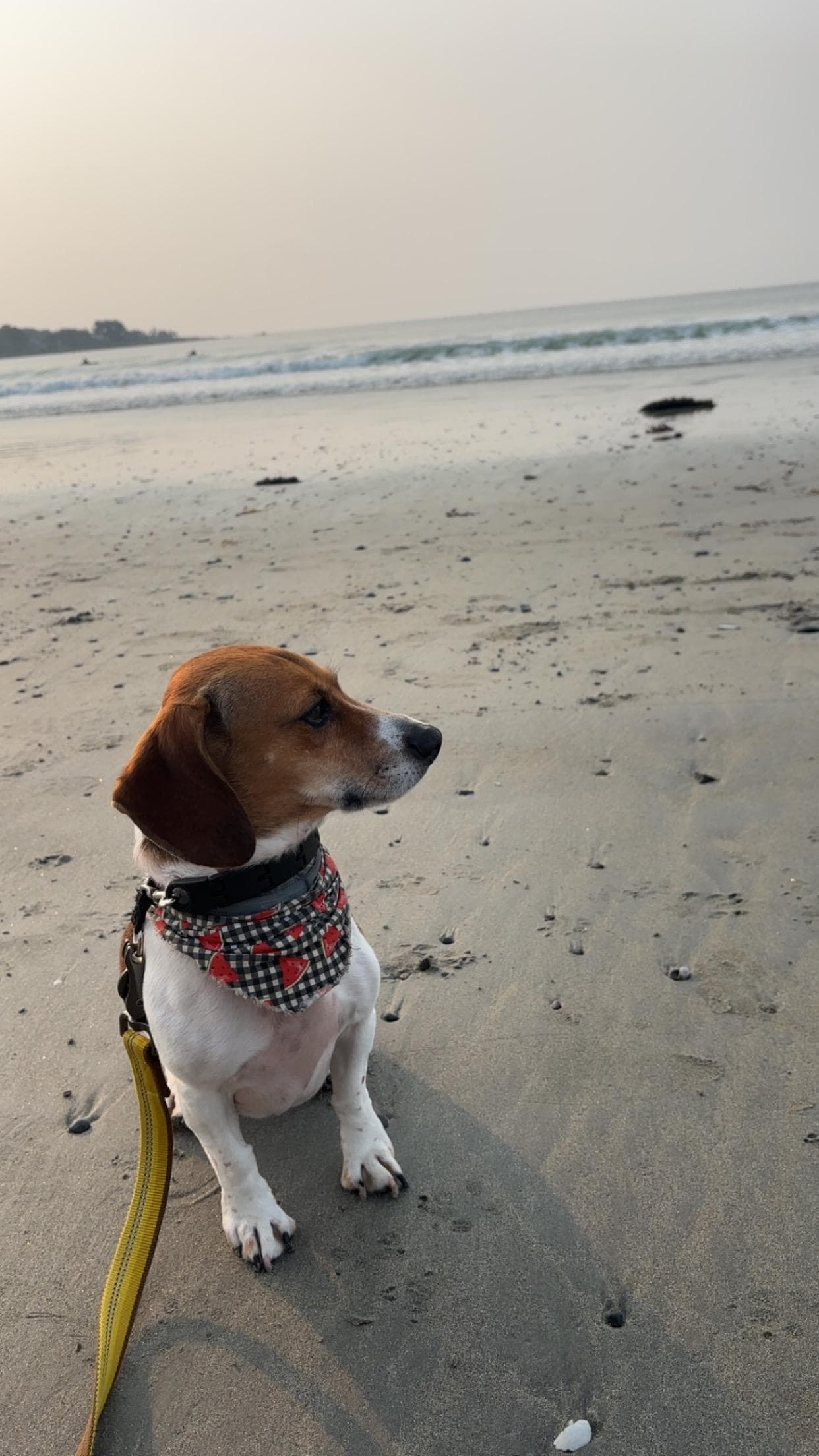 Early morning walks on the Kennebunk beaches 