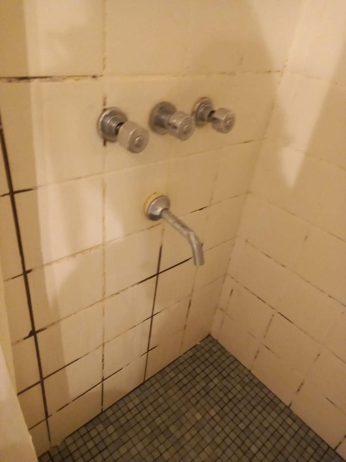 El baño viejo, y no prolijo