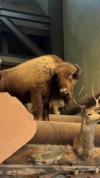 Loja esporte do hotel