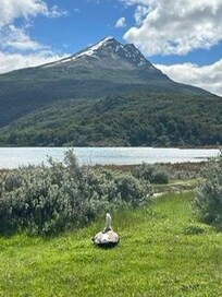 Parco nazionale Tierra del Fuego