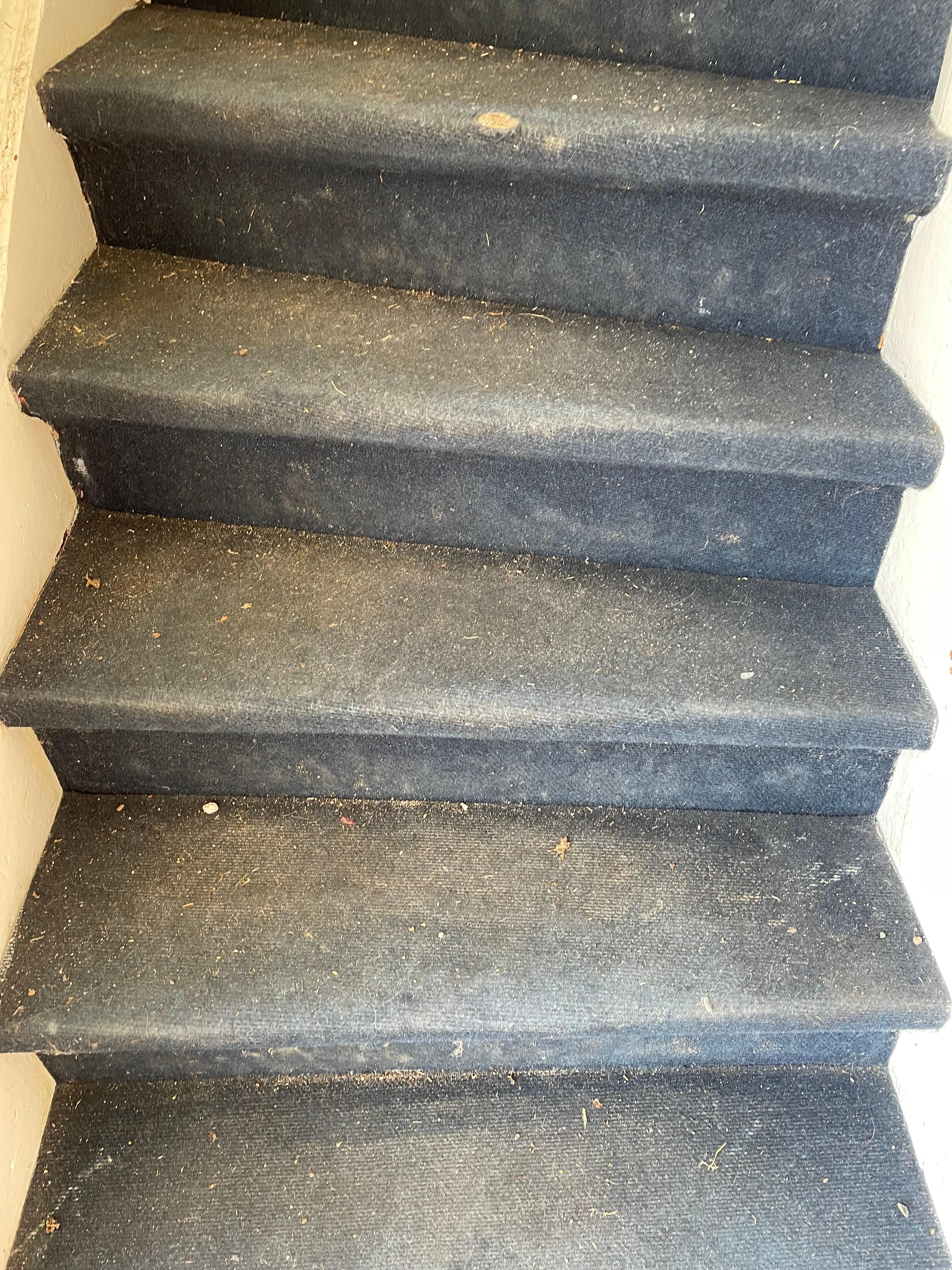 Trappe ifb med indgang til værelse