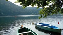 Lac de Longemer