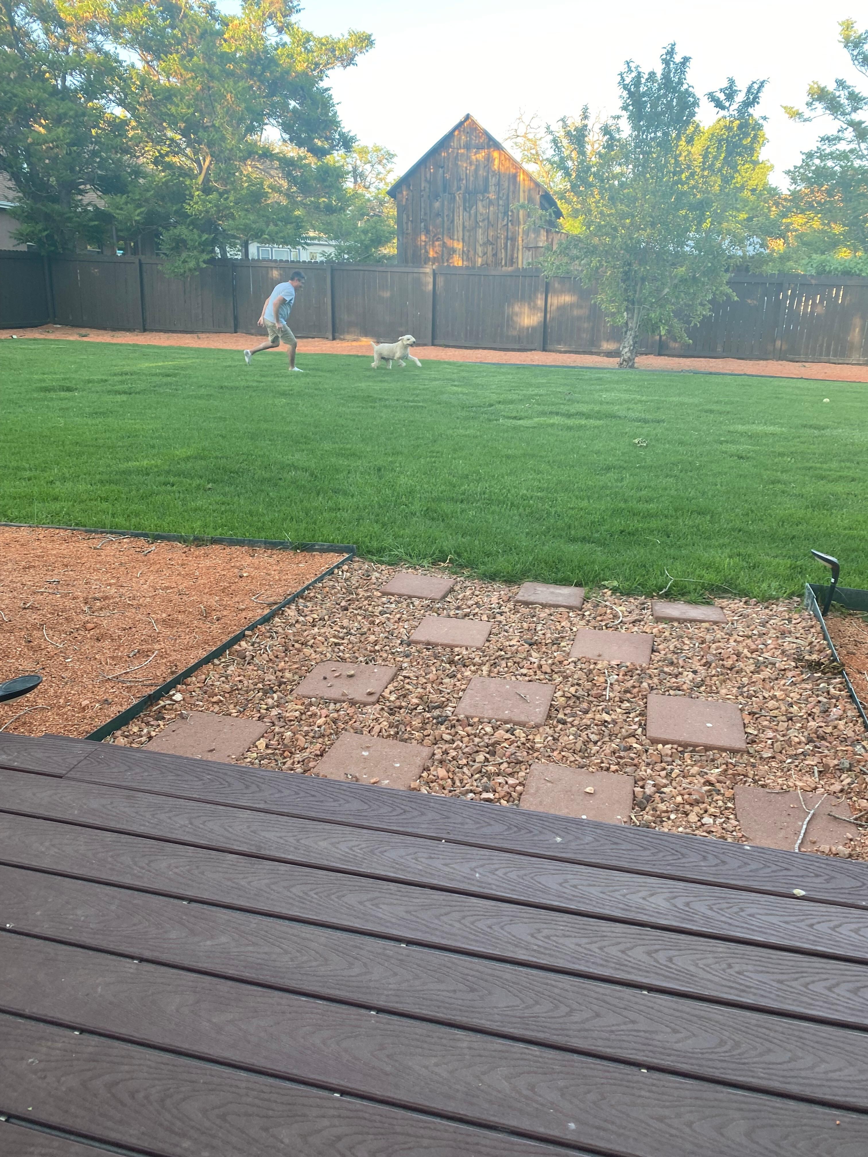 My dog loved the yard ! 