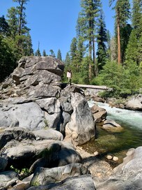 Big Trees State Park