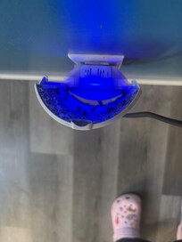 Bug traps everywhere !