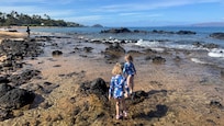 Exploring the tide pools right outside the condo