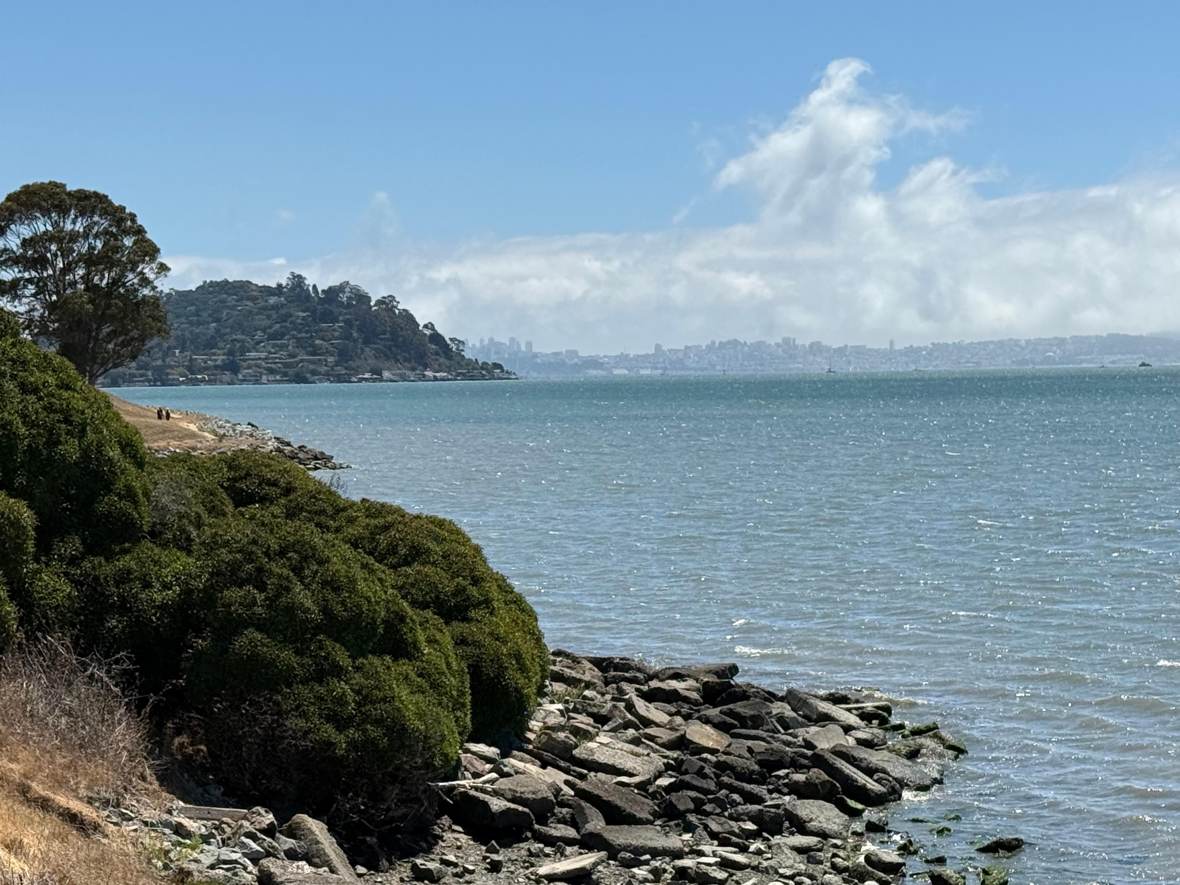 A view from Blackie’s Pastire with San Francisco in the distance. 