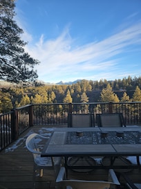 Morning views from the back deck that wraps from dining room to bedroom.