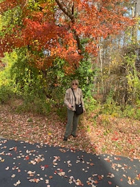 On the grounds