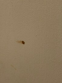 Brown spot, looks like dried blood