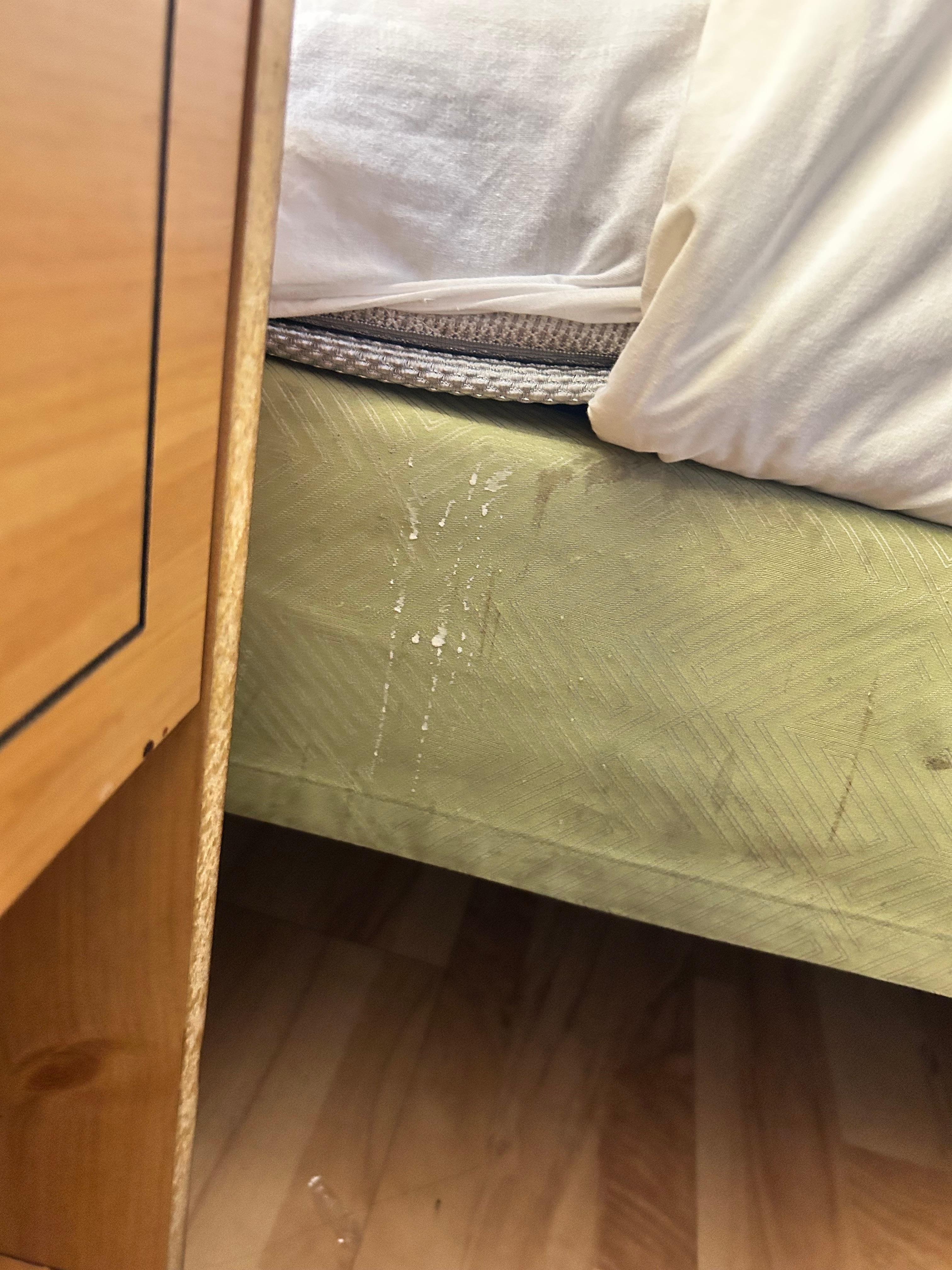 bodily fluids on mattress 