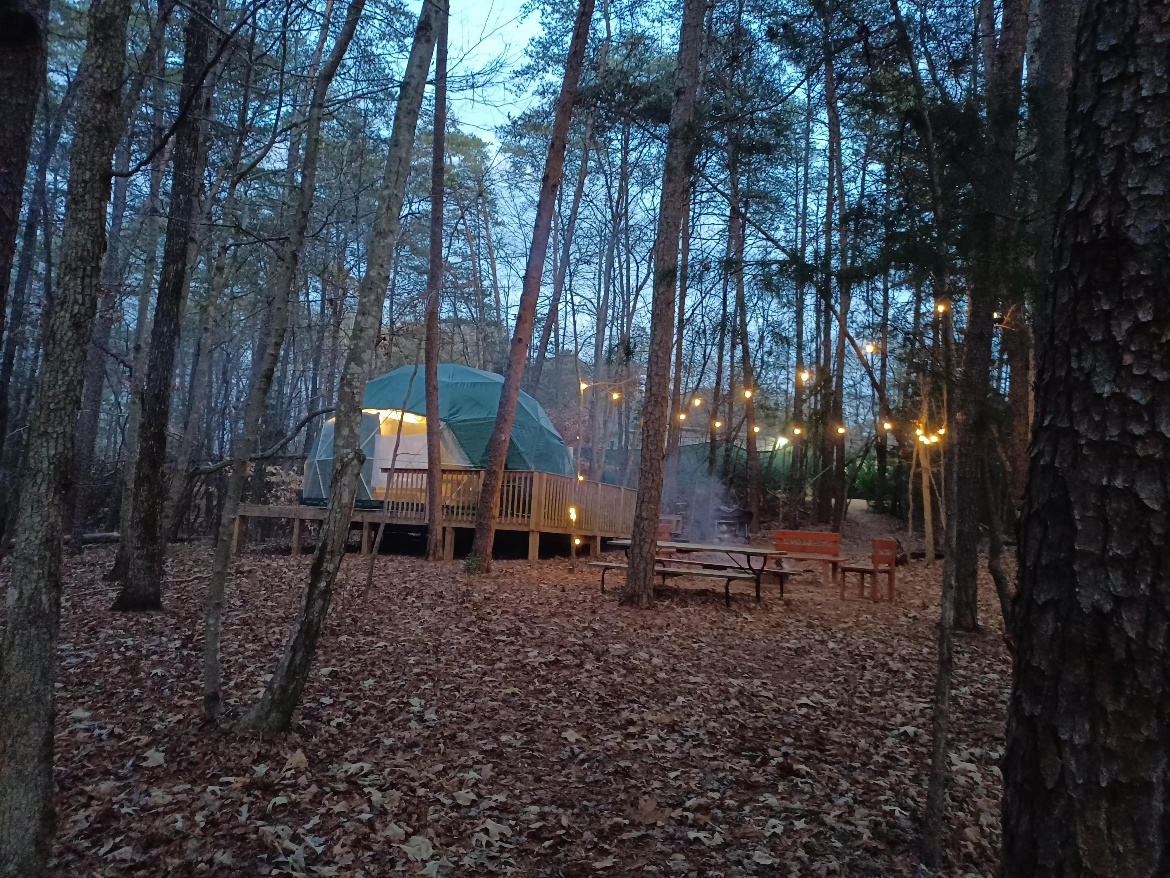 View of dome with privacy screen and house in background