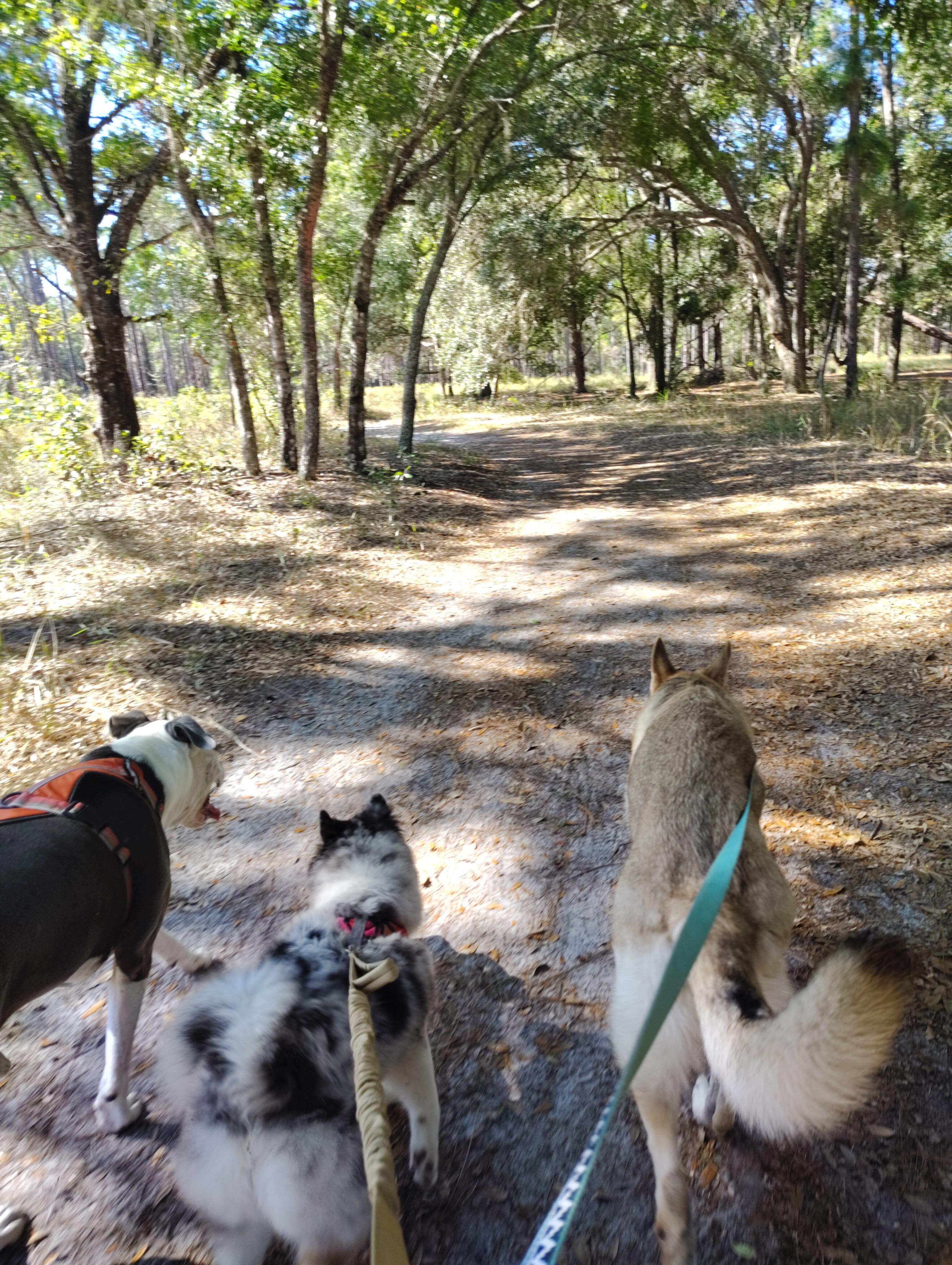 Found a great hiking trail 