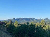 This is the view from the back porch.