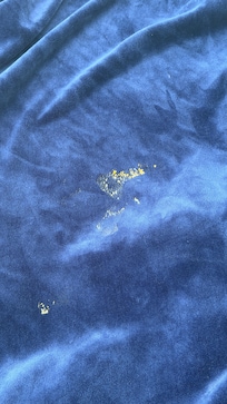 Who knows what this is on the throw blanket from the sofa.