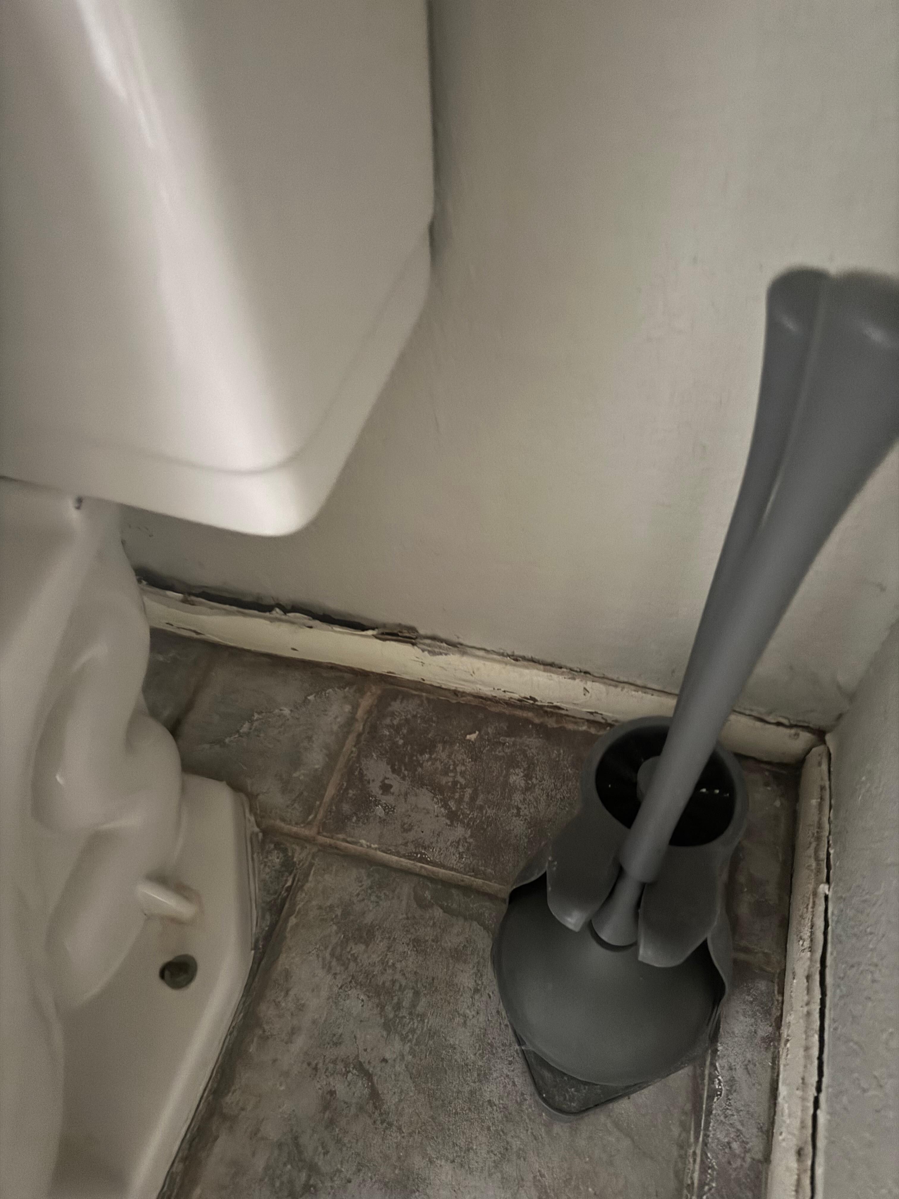 Rotting floor and trim in bathroom 1