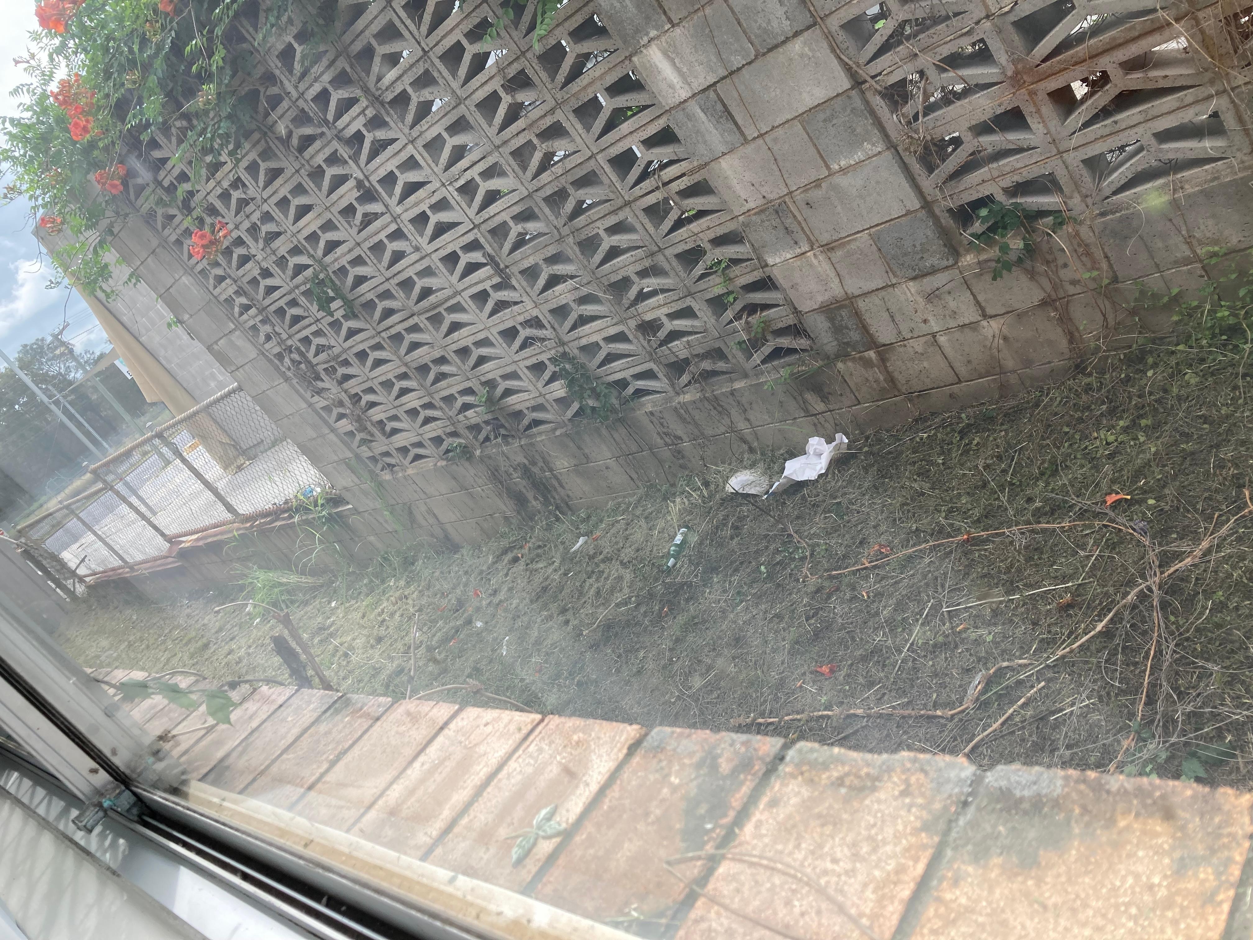 Rubbish outside the window