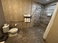 Rm 220, roll in shower mobility adapted Queen