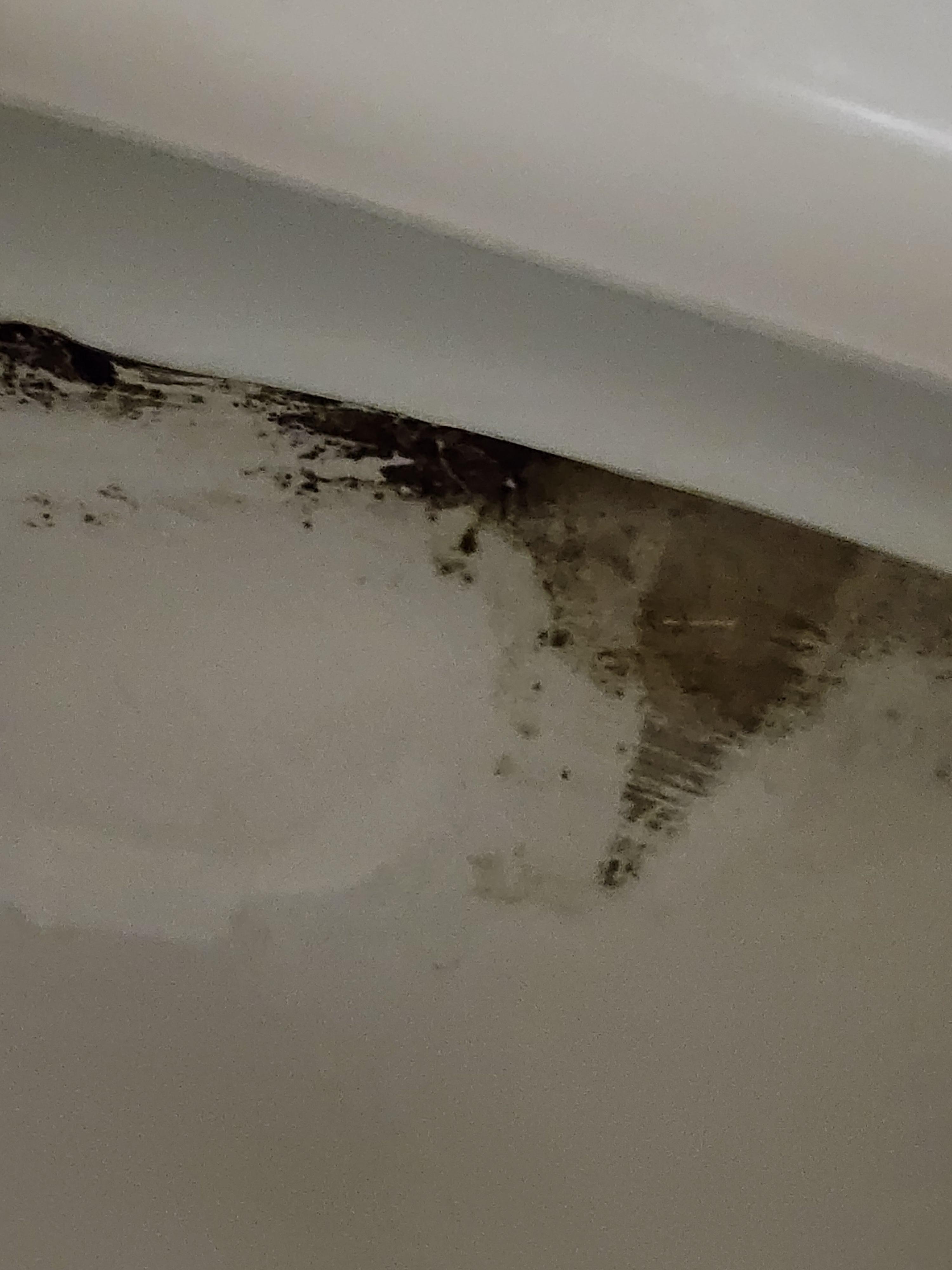 The inside of the toilet.