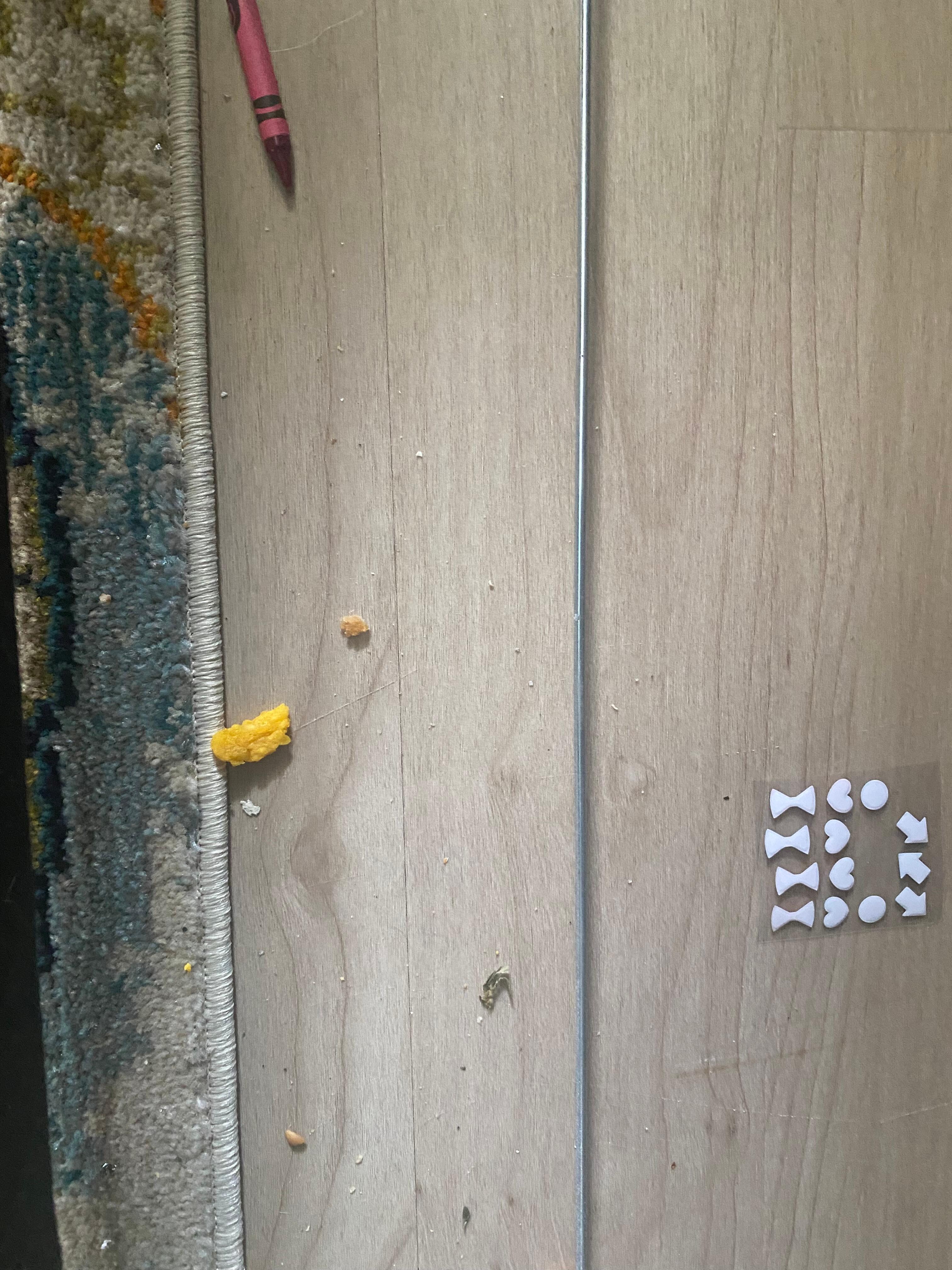 Dried fries on floor