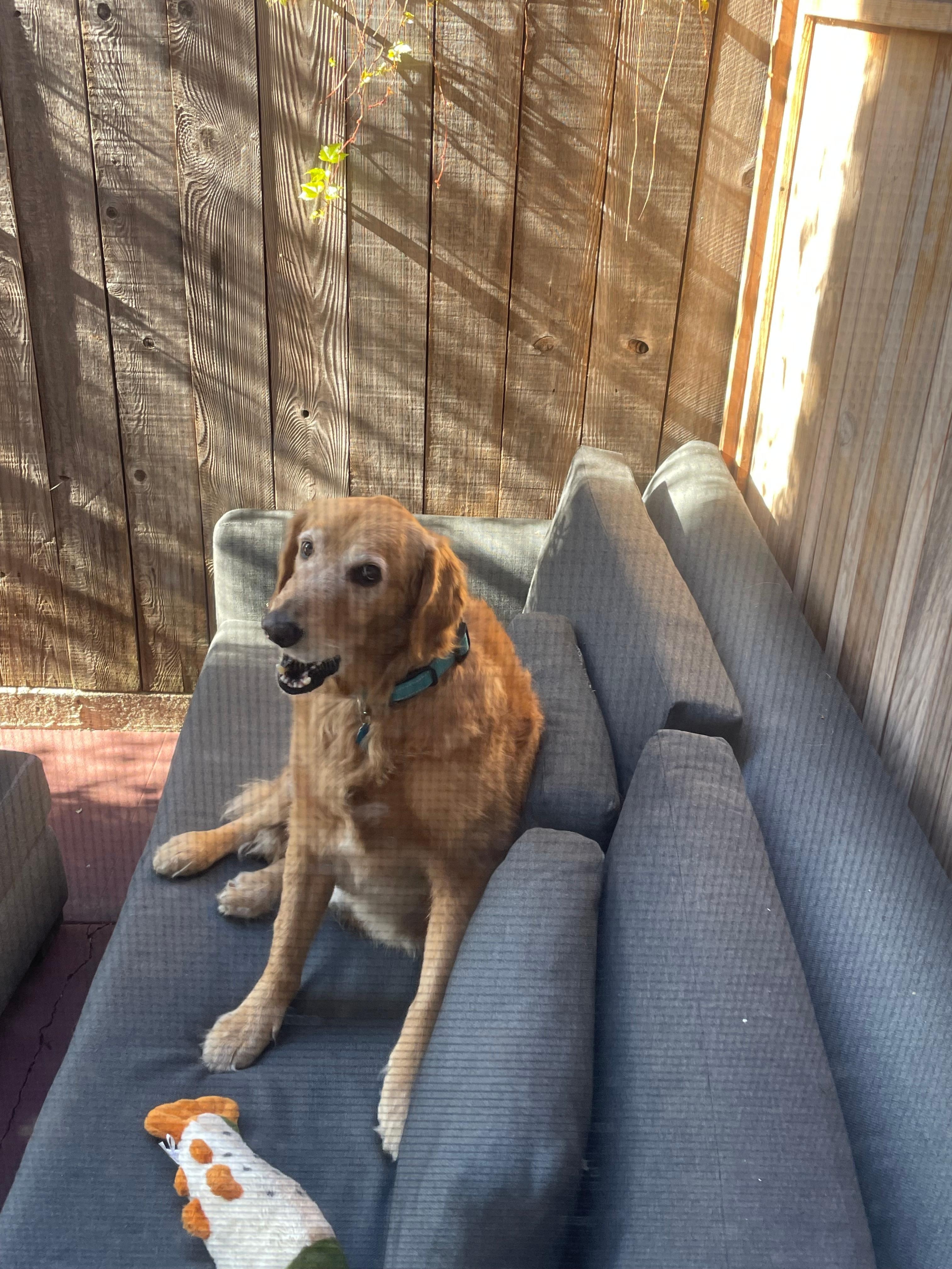 The back patio was very nice.