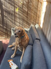 The back patio was very nice.