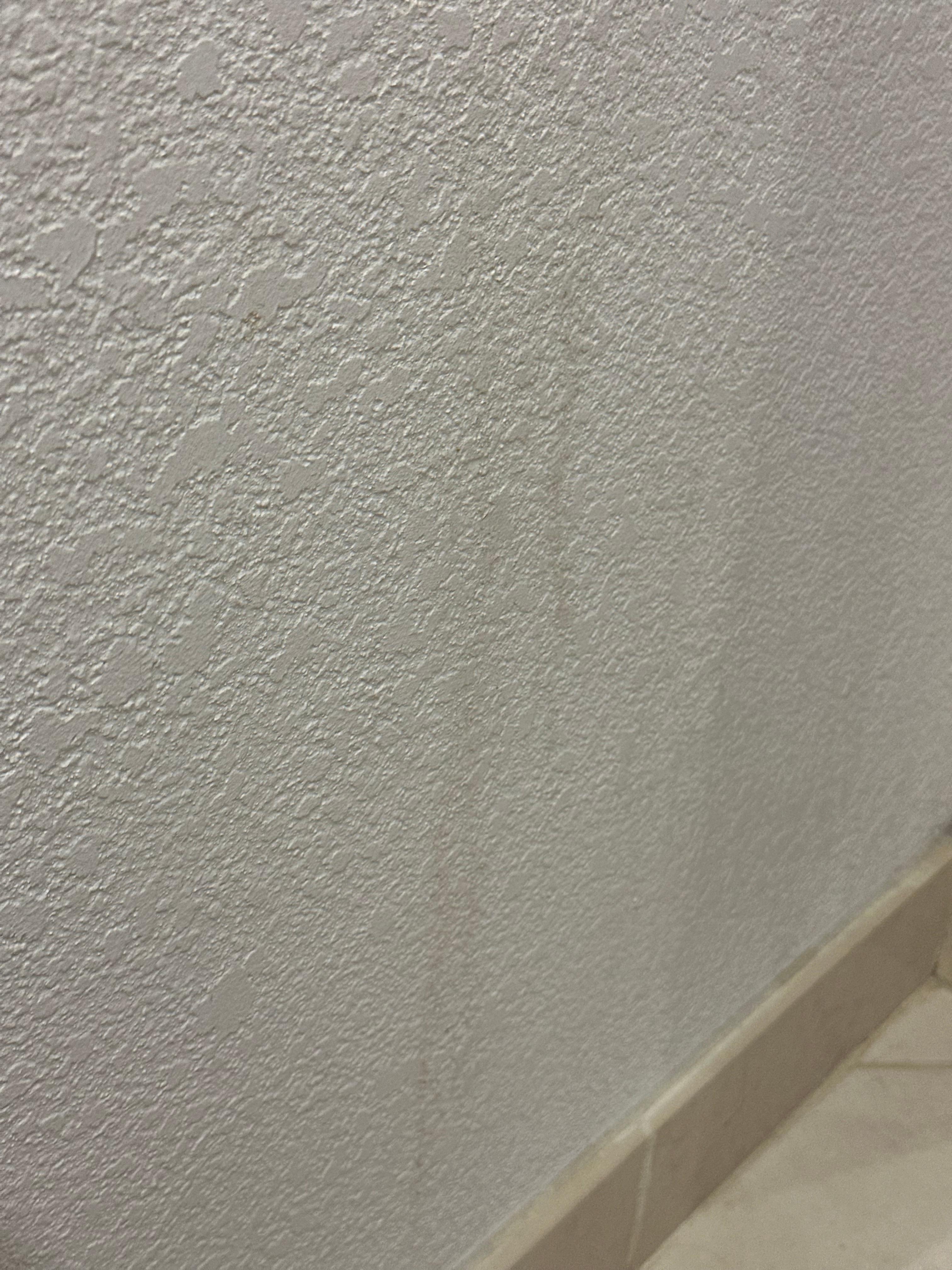 Wall of the bathroom