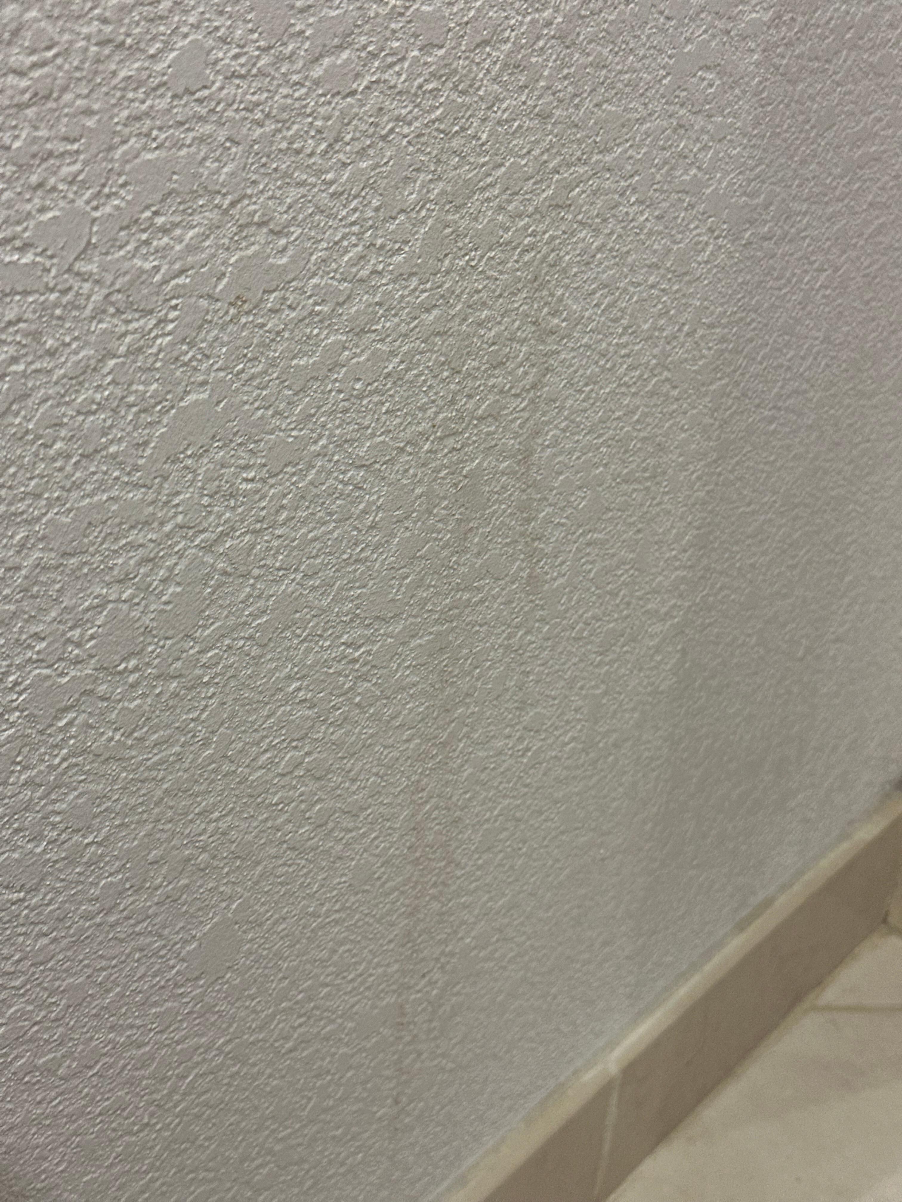 Wall of the bathroom 