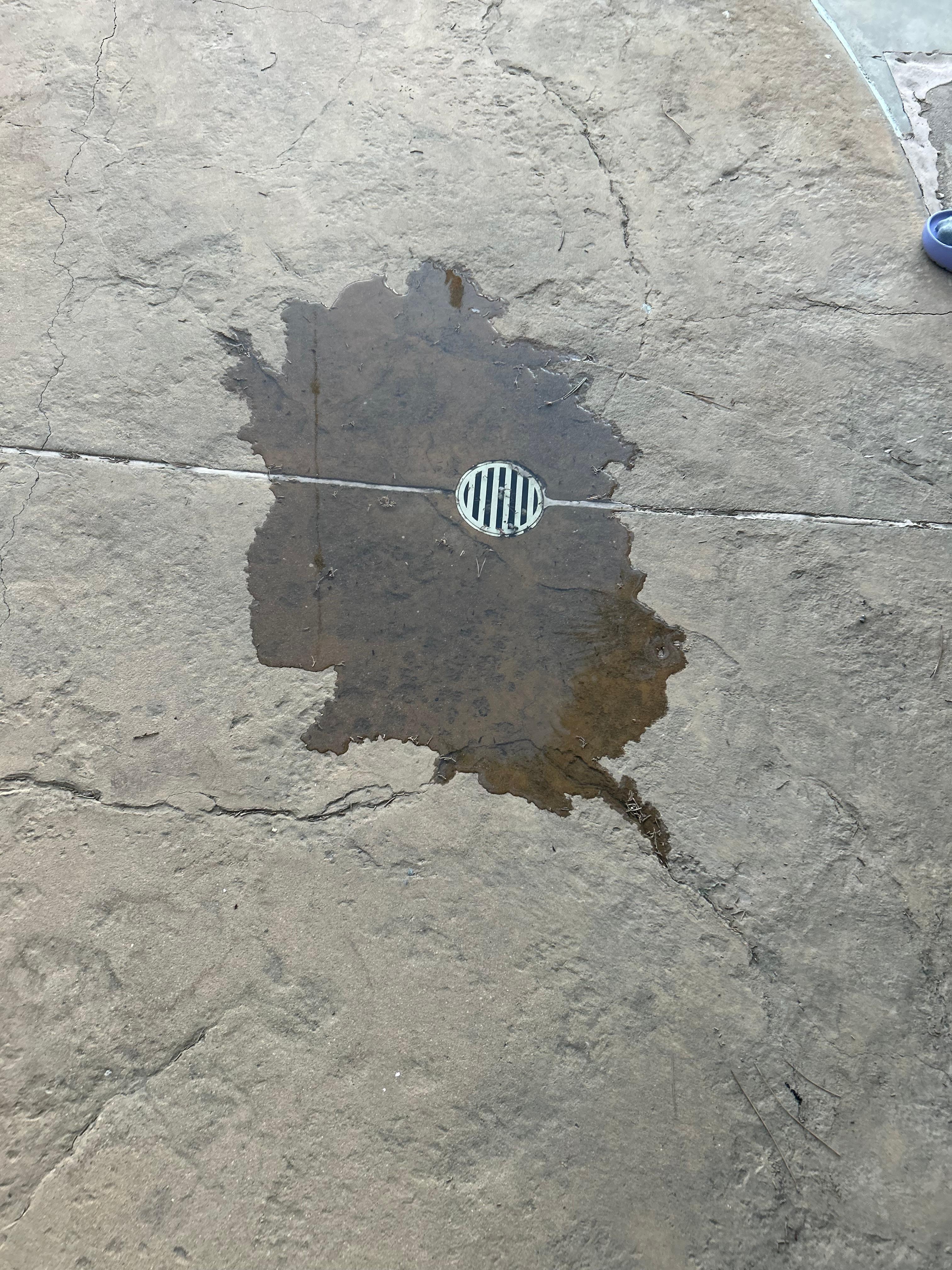 Water and sewage smell came up thru every drain