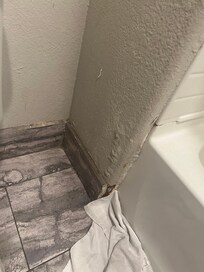 Moldy and falling apart