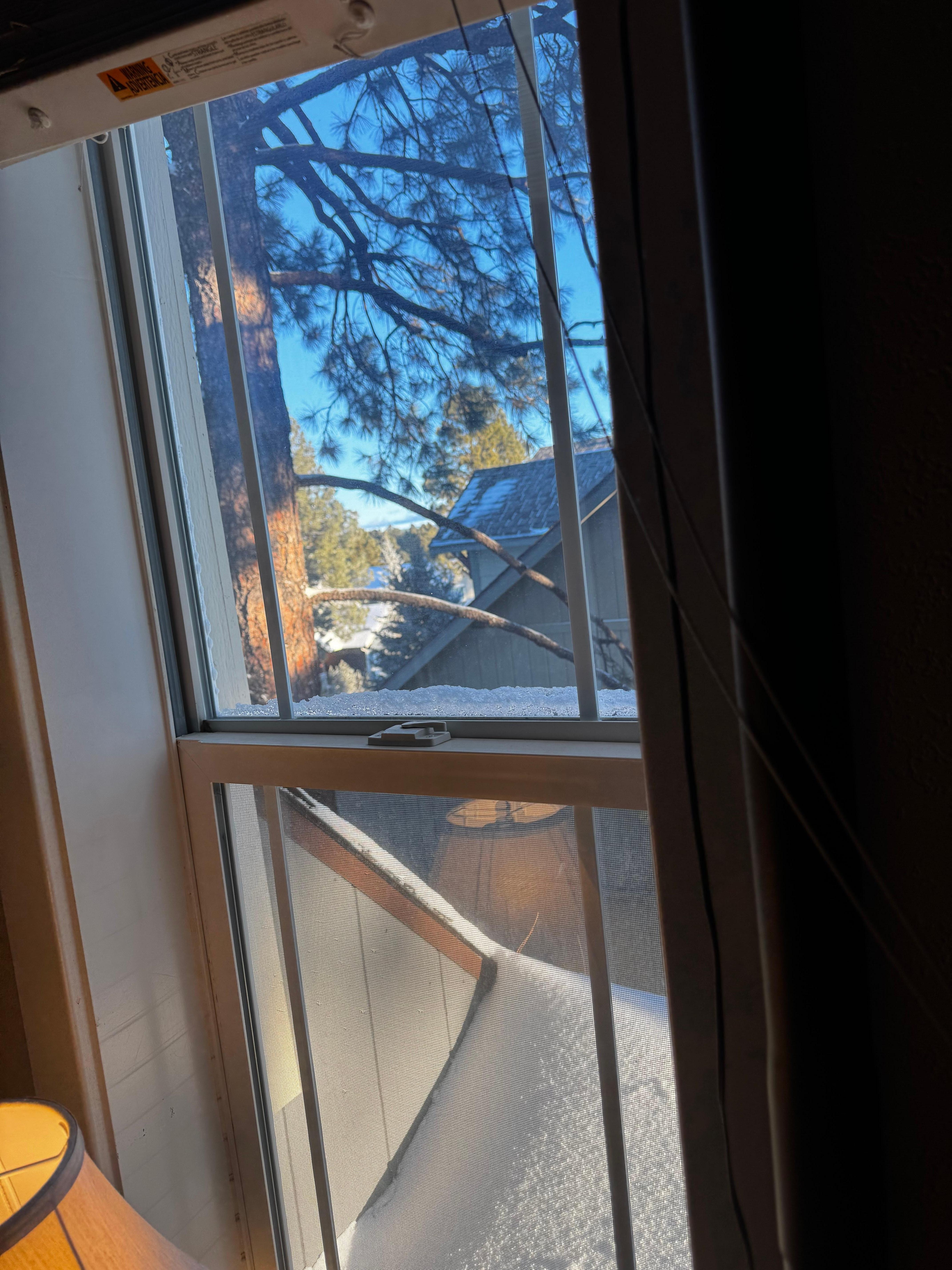  View from the master bedroom 