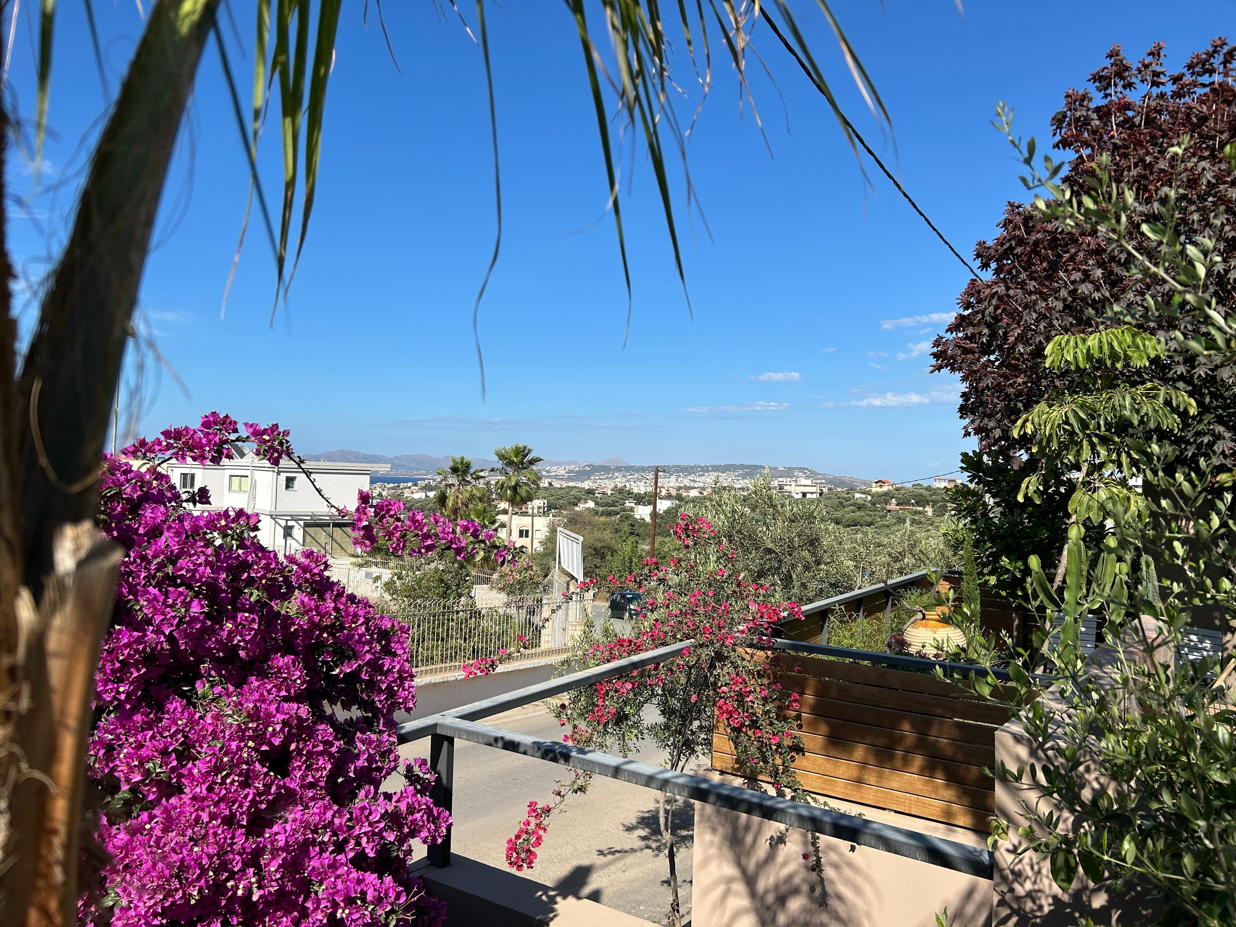 View from pool area