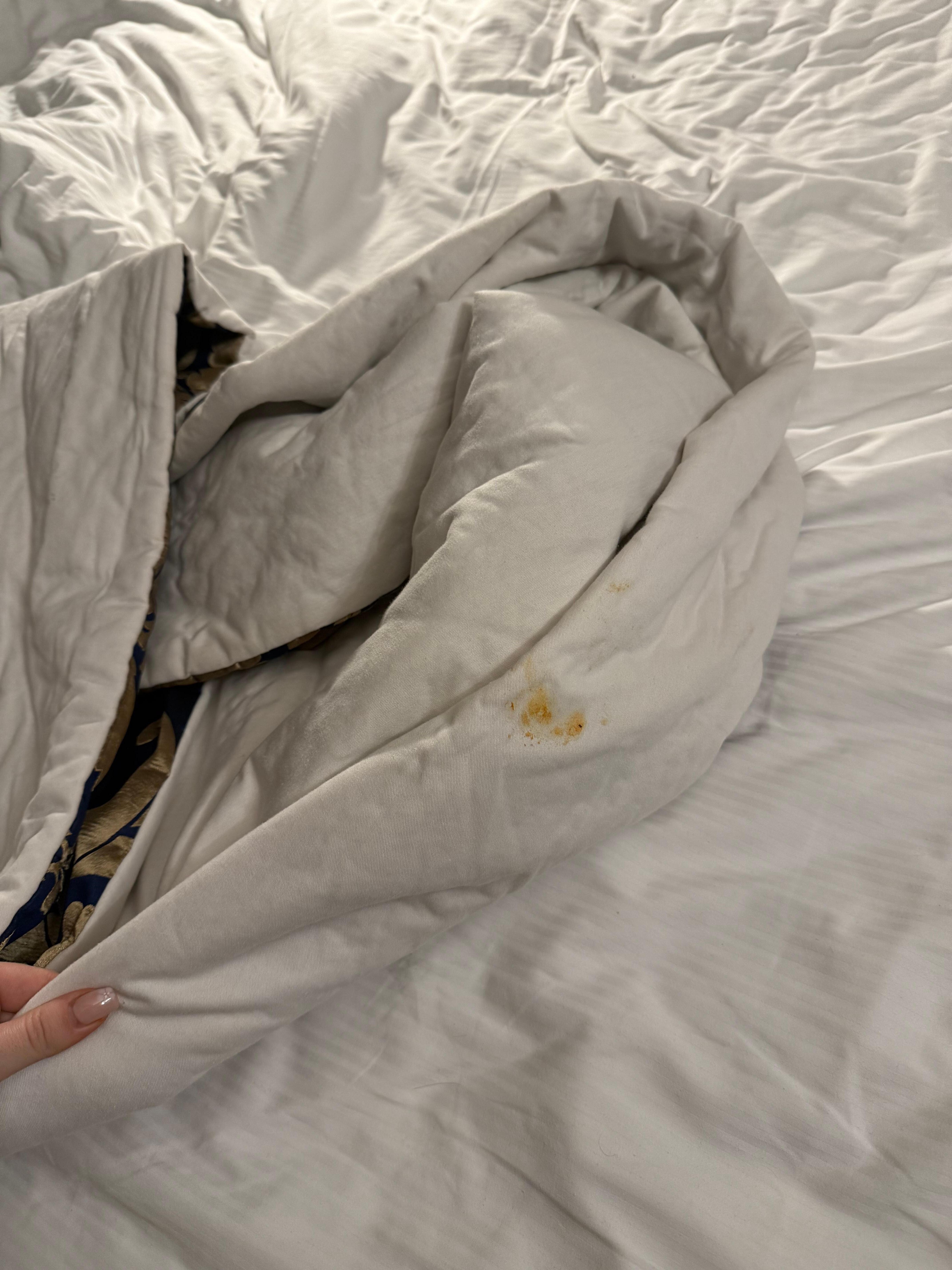 Unclean bedding