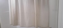 Moldy shower curtain