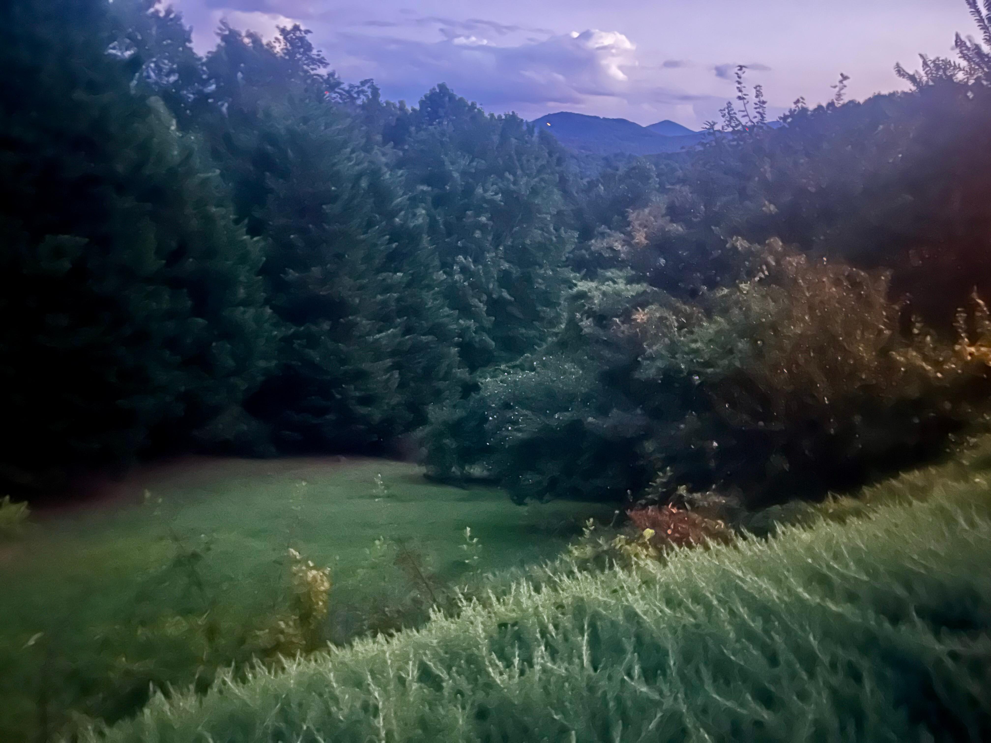 At dusk…fireflies were blinking as well