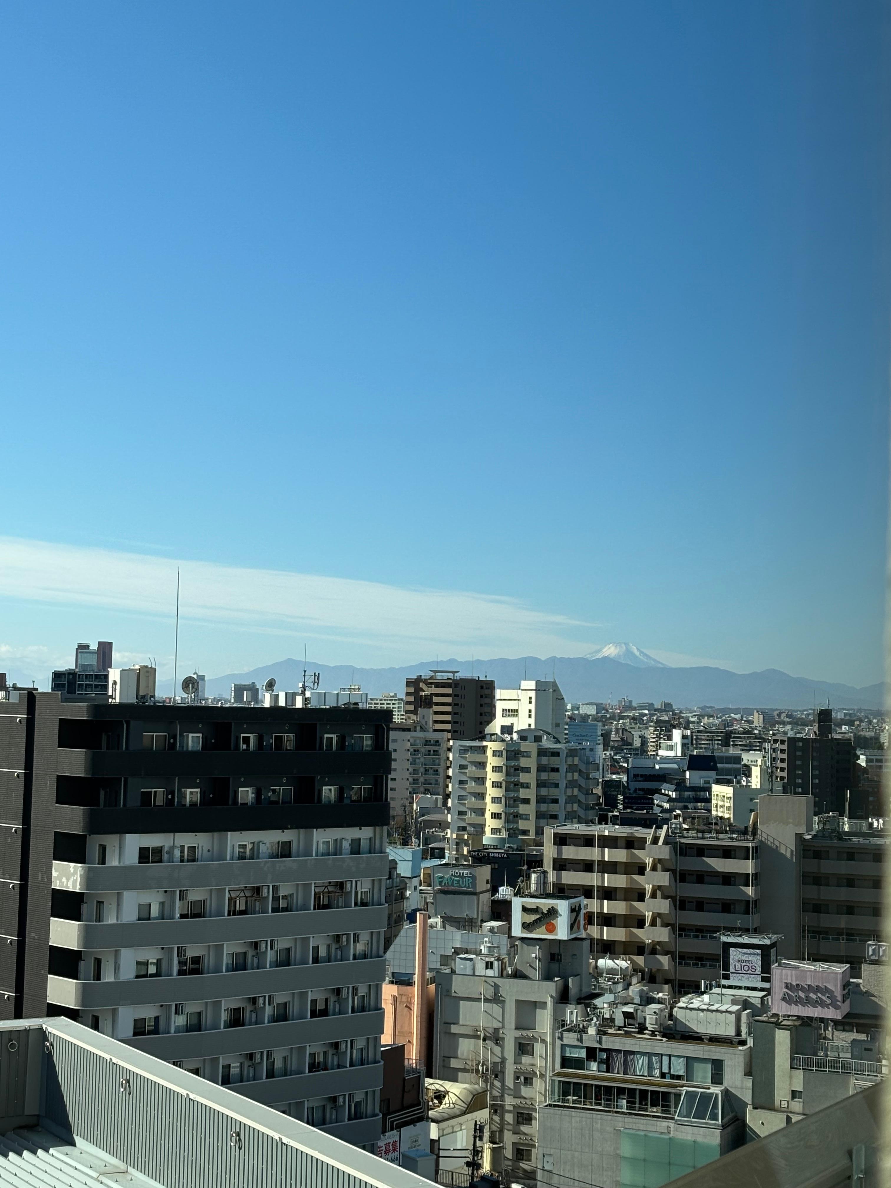 El Monte Fuji se ve desde el hotel.