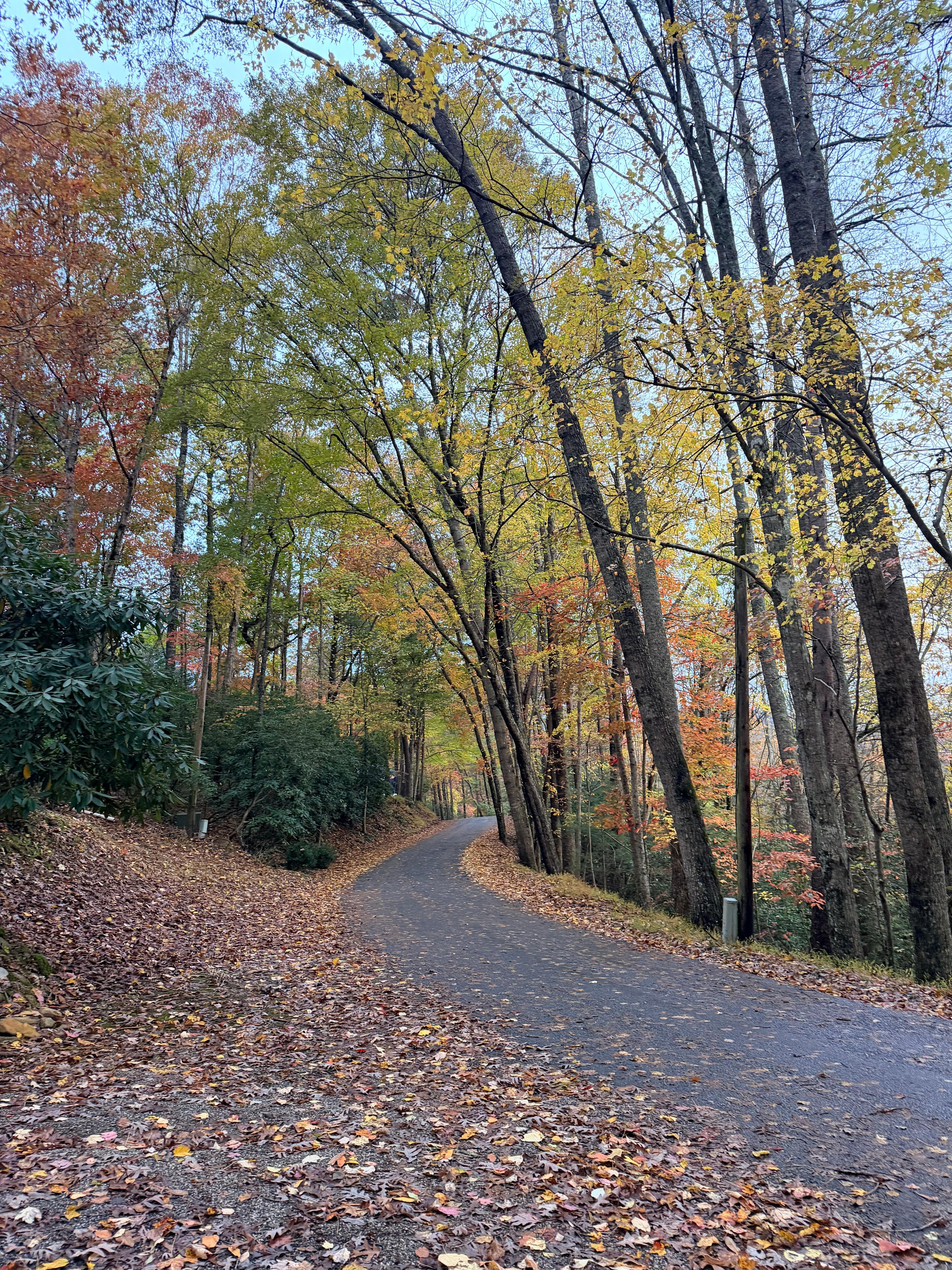 Great place to walk. 