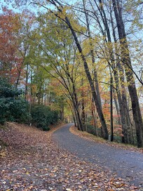 Great place to walk.