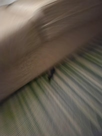 Stained carpets