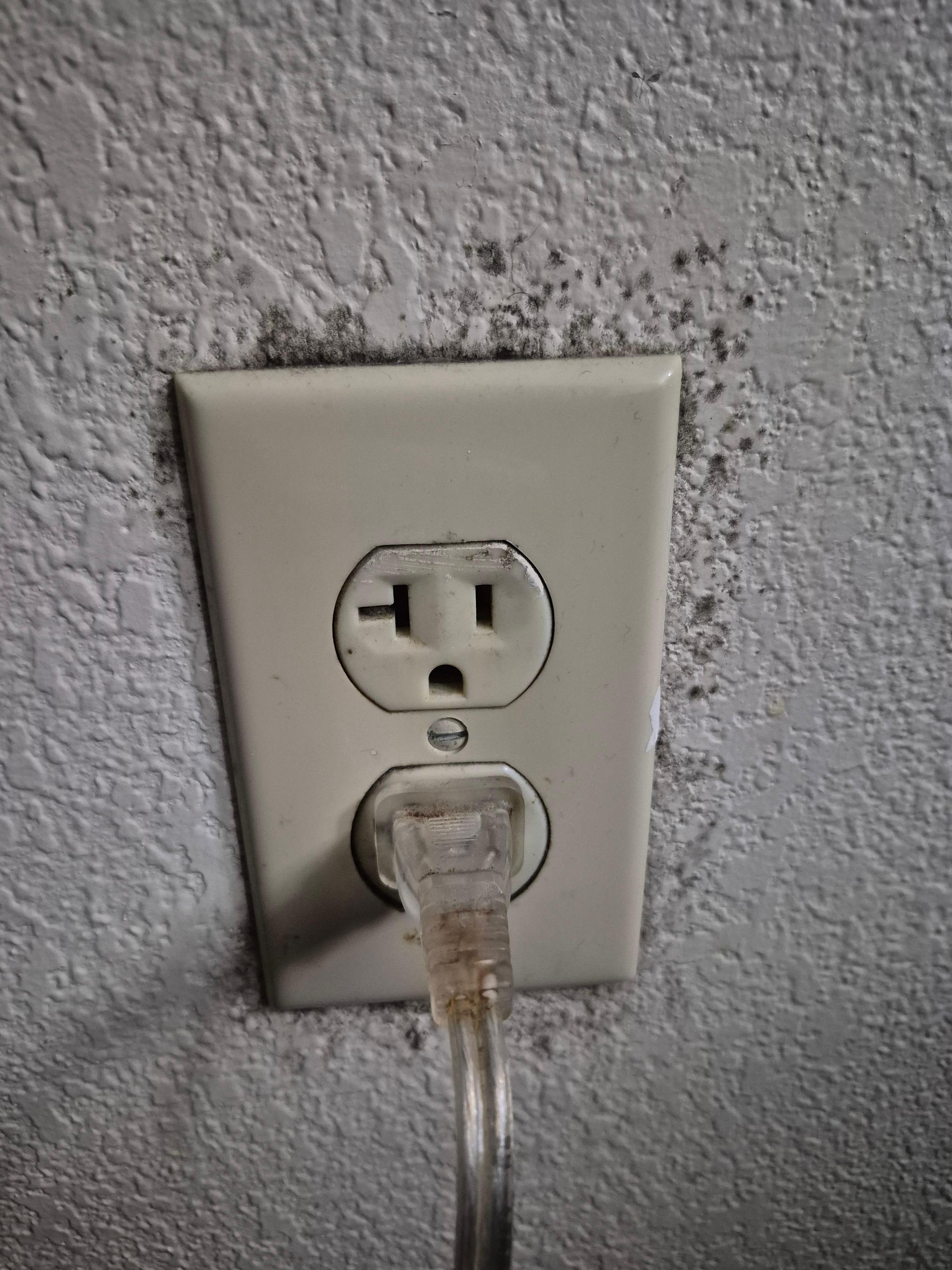 Moldy outlets