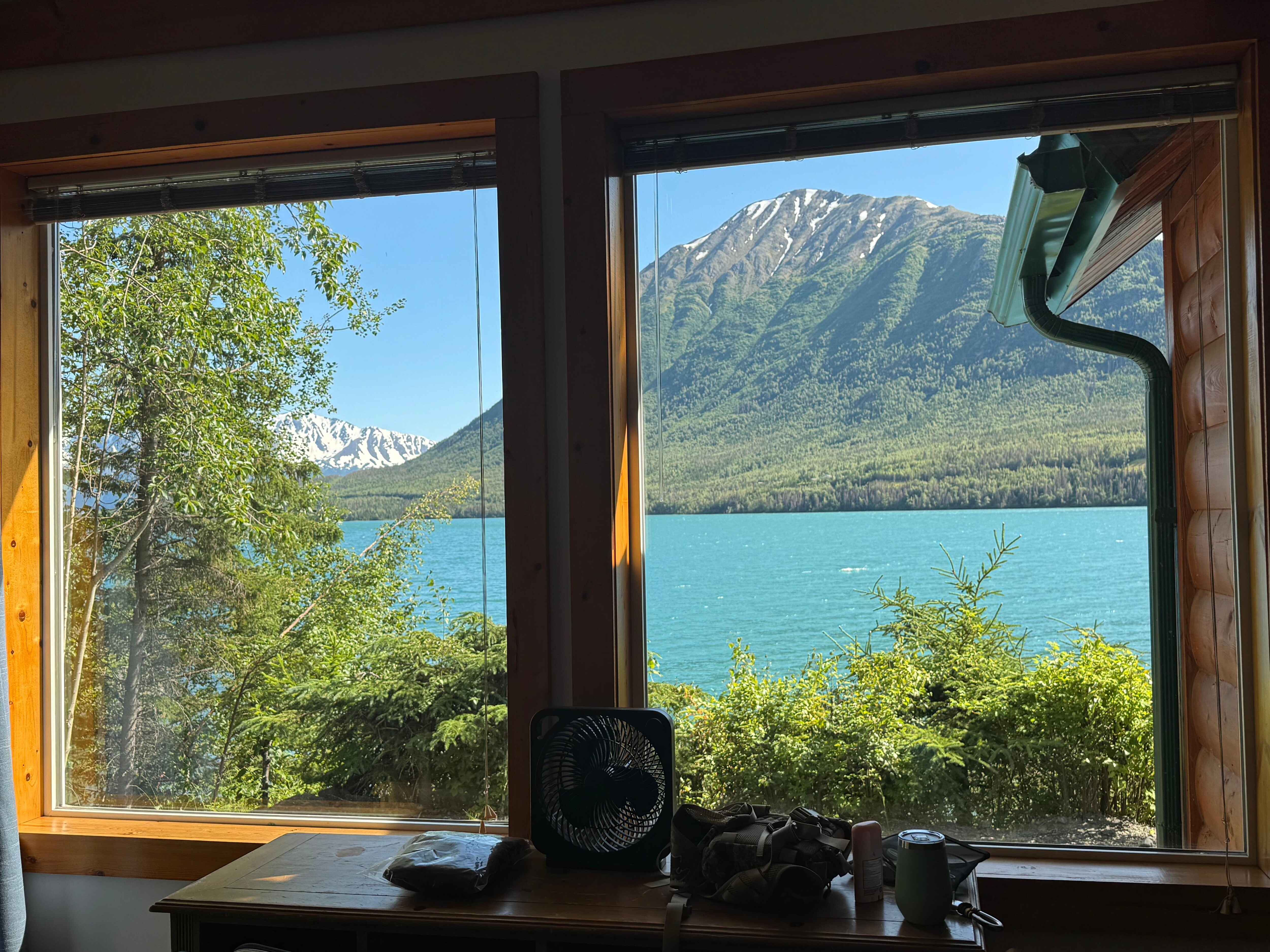 View from living room 