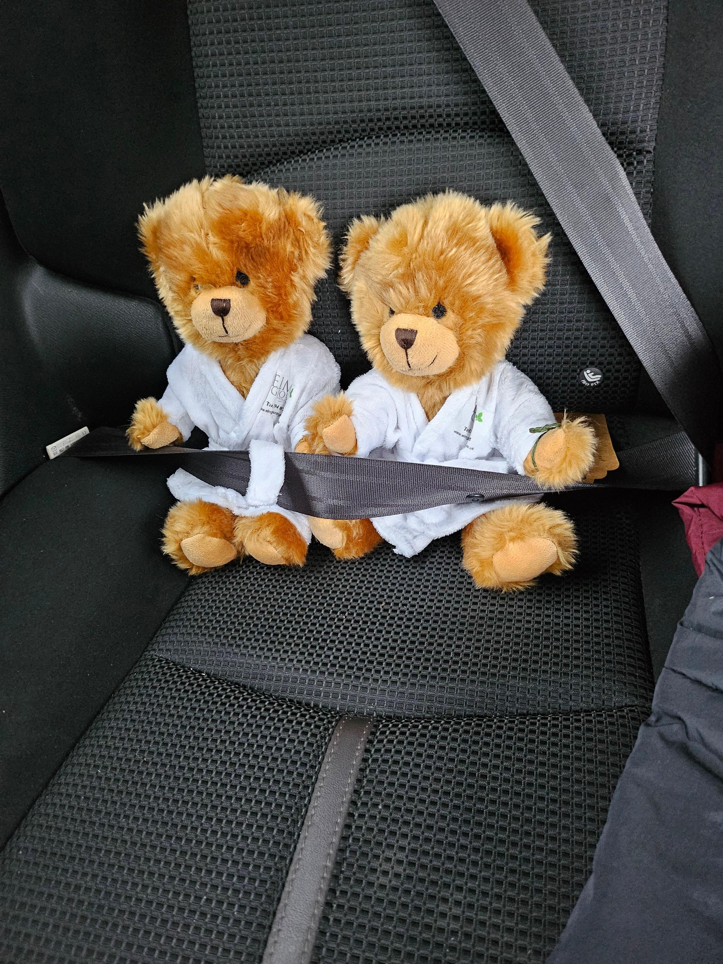 Elmer G bears from Elm Grove guest house 