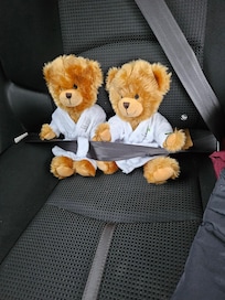 Elmer G bears from Elm Grove guest house