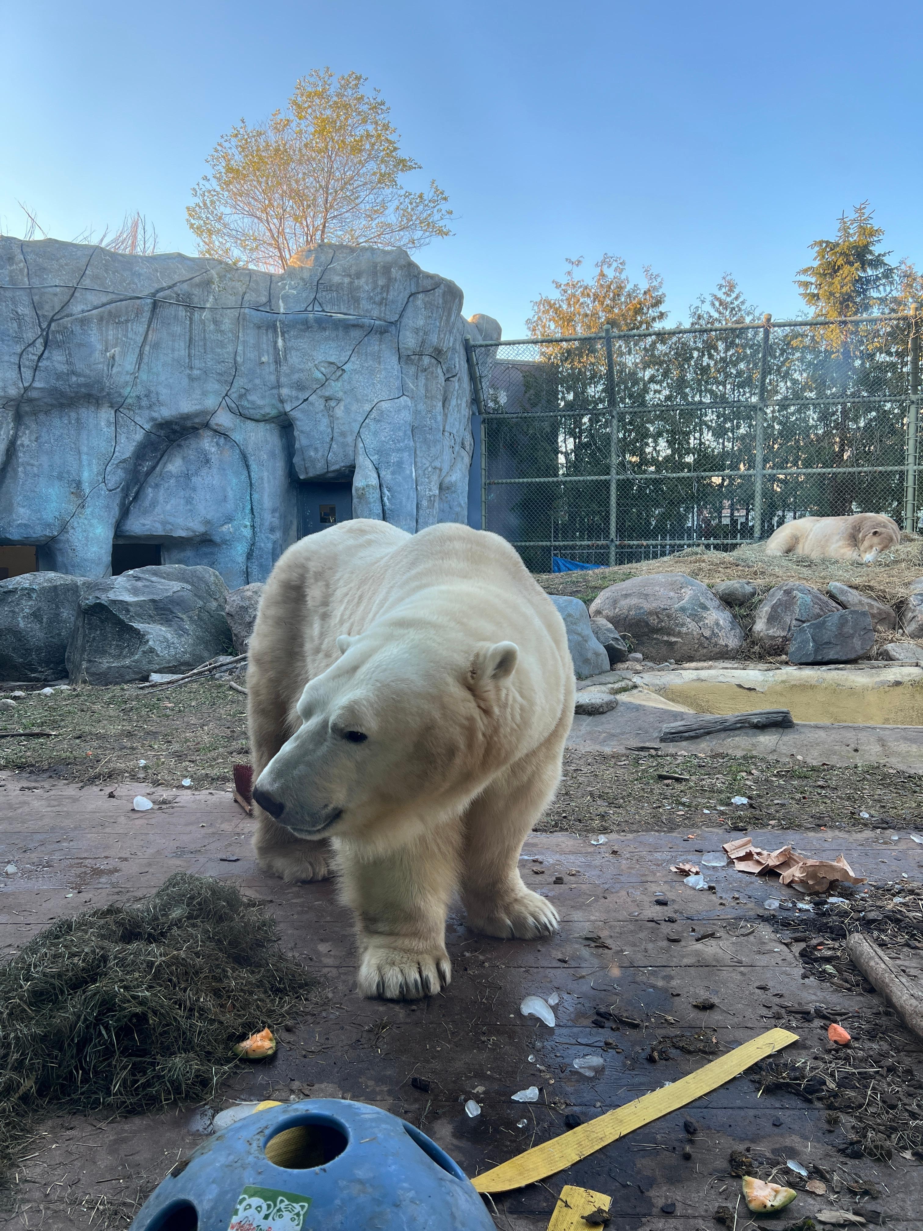Took a ride to the Toronto zoo.
 