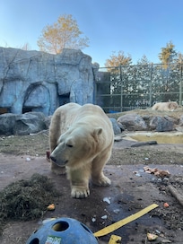 Took a ride to the Toronto zoo.
