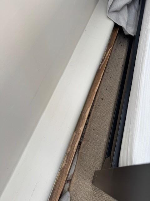 Dead bugs under and behind the beds. Only spare blankets for the 2 beds in the basement.